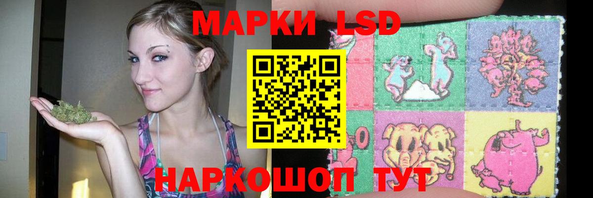 Прохладный  Лсд 25 экстази ecstasy  mega tor  ЛСД экстази ecstasy  Вход с VPN 